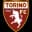 Torino Logo