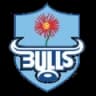 Bulls logo